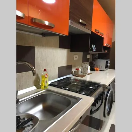 펜션 Casa Roxana 콘스탄차